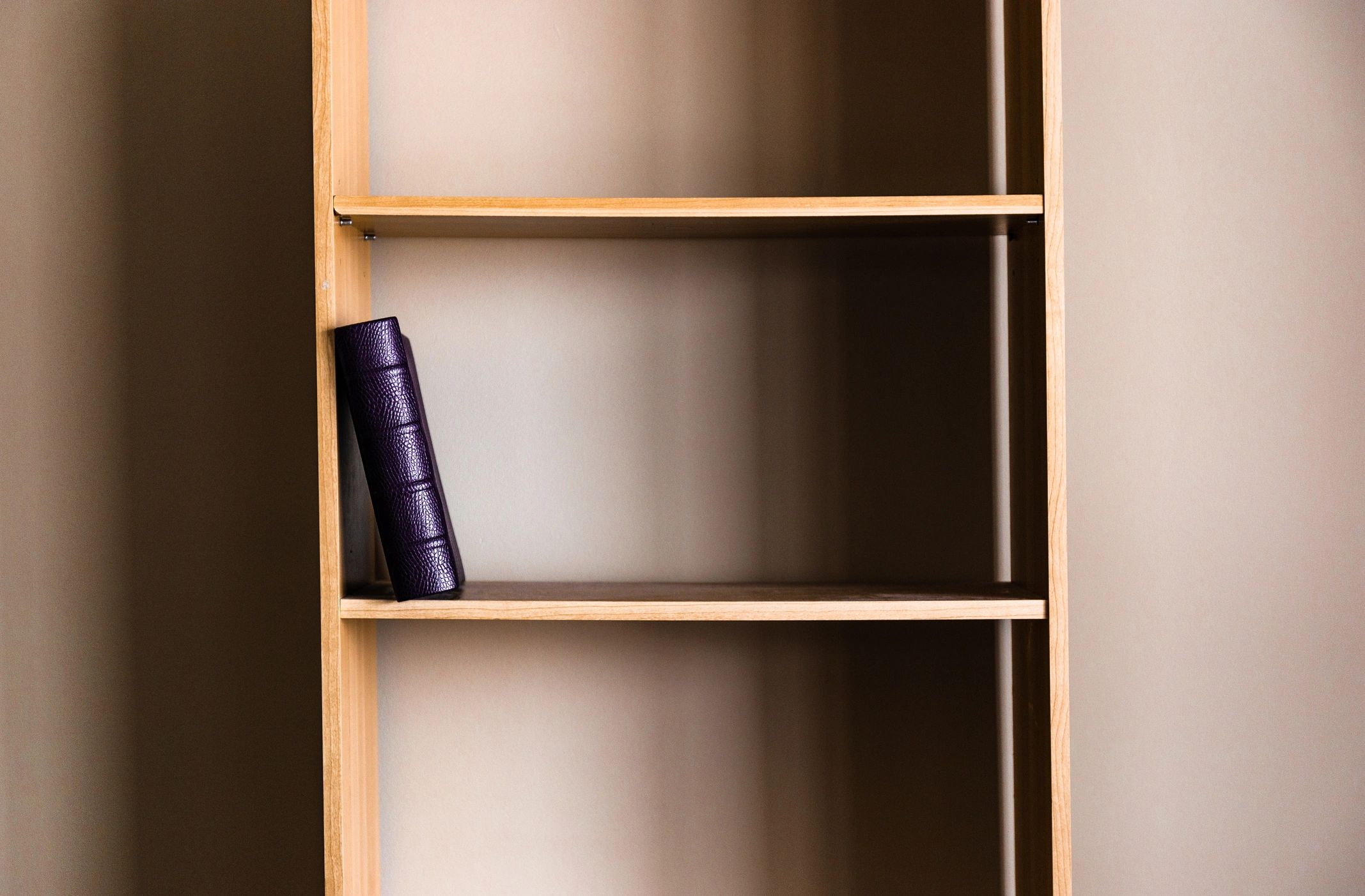 Single book displayed on a shelf